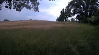 The field cam, Jun 23, 2023 at 1:14pm