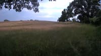 The field cam, Jun 23, 2023 at 1:43pm