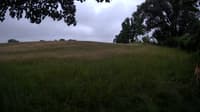 The field cam, Jun 26, 2023 at 5:15am
