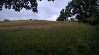 The field cam, Jun 26, 2023 at 5:18am