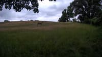The field cam, Jun 26, 2023 at 9:16am
