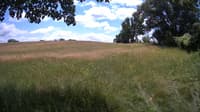 The field cam, Jun 26, 2023 at 10:57am