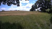 The field cam, Jun 26, 2023 at 11:36am