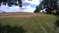 The field cam, Jun 26, 2023 at 11:43am