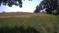 The field cam, Jun 27, 2023 at 10:28am