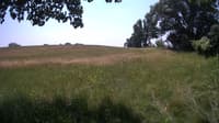 The field cam, Jun 27, 2023 at 10:33am