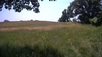 The field cam, Jun 27, 2023 at 10:48am