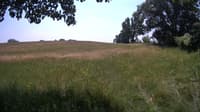 The field cam, Jun 27, 2023 at 10:49am