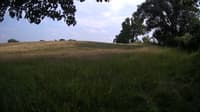The field cam, Jun 27, 2023 at 3:05pm