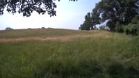 The field cam, Jun 28, 2023 at 8:47am