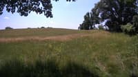 The field cam, Jun 29, 2023 at 10:20am