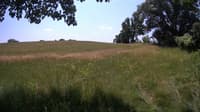 The field cam, Jun 29, 2023 at 10:30am