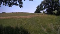 The field cam, Jun 29, 2023 at 11:22am