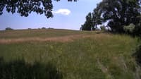 The field cam, Jun 29, 2023 at 11:40am