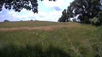 The field cam, Jun 30, 2023 at 10:23am
