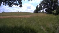The field cam, Jun 30, 2023 at 10:43am