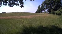 The field cam, Jul 1, 2023 at 8:24am