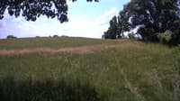 The field cam, Jul 1, 2023 at 10:55am