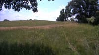 The field cam, Jul 1, 2023 at 10:58am