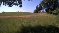 The field cam, Jul 2, 2023 at 8:26am