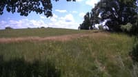 The field cam, Jul 2, 2023 at 11:42am