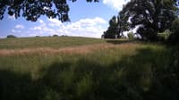 The field cam, Jul 2, 2023 at 1:10pm
