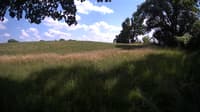 The field cam, Jul 2, 2023 at 1:23pm