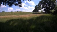 The field cam, Jul 2, 2023 at 1:30pm
