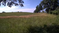 The field cam, Jul 3, 2023 at 7:54am