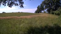 The field cam, Jul 3, 2023 at 7:56am