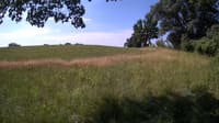 The field cam, Jul 3, 2023 at 8:00am