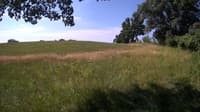 The field cam, Jul 3, 2023 at 8:02am