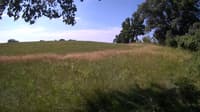 The field cam, Jul 3, 2023 at 8:03am