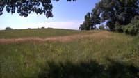The field cam, Jul 3, 2023 at 8:36am