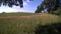 The field cam, Jul 5, 2023 at 7:18am