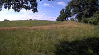 The field cam, Jul 5, 2023 at 7:24am
