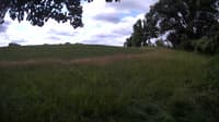 The field cam, Jul 5, 2023 at 8:25am