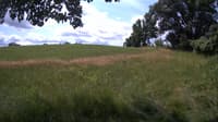 The field cam, Jul 5, 2023 at 9:40am
