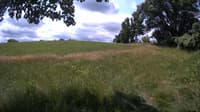 The field cam, Jul 5, 2023 at 9:54am