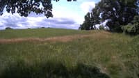 The field cam, Jul 5, 2023 at 9:59am