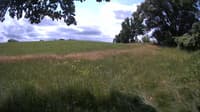 The field cam, Jul 5, 2023 at 10:01am
