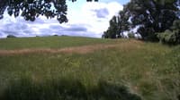 The field cam, Jul 5, 2023 at 10:02am