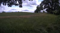 The field cam, Jul 5, 2023 at 10:59am
