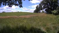 The field cam, Jul 6, 2023 at 10:11am