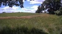 The field cam, Jul 6, 2023 at 10:13am