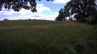 The field cam, Jul 6, 2023 at 10:58am