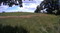 The field cam, Jul 6, 2023 at 11:27am