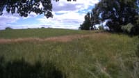 The field cam, Jul 6, 2023 at 11:30am