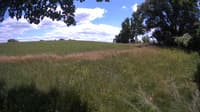The field cam, Jul 6, 2023 at 11:35am