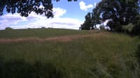 The field cam, Jul 6, 2023 at 11:37am